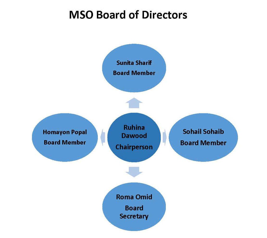 MSO-Board-of-Directors1-JPG MSO-Board-of-Directors